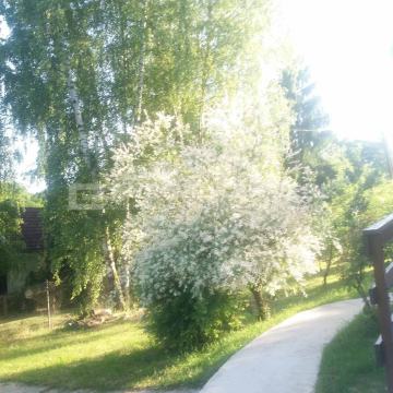 Vikendica Podgarić, Marles kućica 25 m², renovirano - BEZ PROVIZIJE!