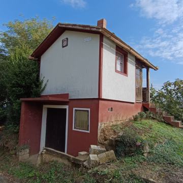 Močile vinograd, 749 m2