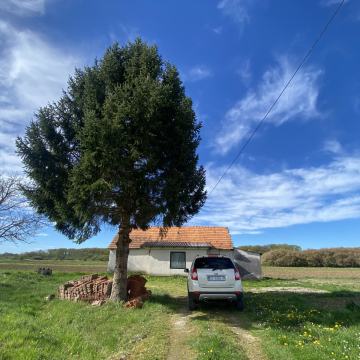 Volavje, vikendica, 80 m2, ravan teren, cijeli dan sunce!