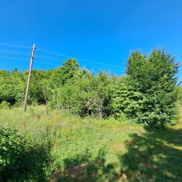 Donje Pazarište, građevinsko zemljište s temeljima stare kuće, 1069m2