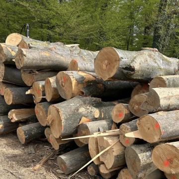 Višemetrica/dugometrica za ogrjev,bukva,grab,hrast,brza dostava