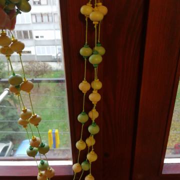 NE MOŽE DULJA OGRLICA