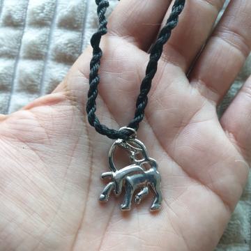 Ogrlica horoskopski znak