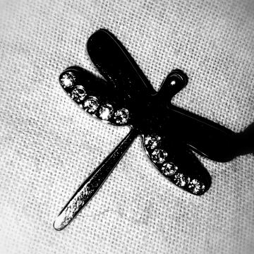 Nova ogrlica, nekoristena