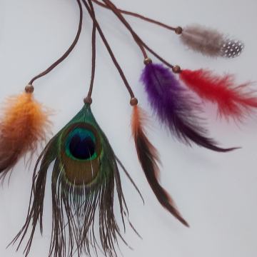 OGRLICA S PERJEM  - NOVO