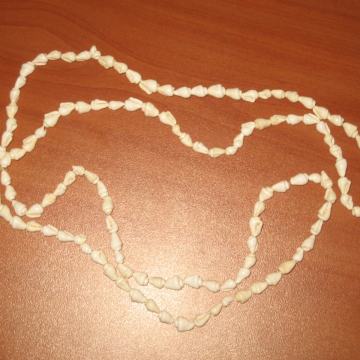 OGRLICA OD ŠKOLJKICA - NOVO