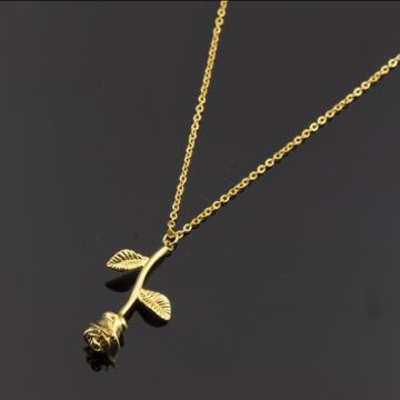 OGRLICA ZLATNA RUŽA - NOVA