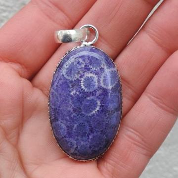 Privjesak s fosilima na srebrnom lančiću