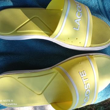 Šlape-papuče br.40-Lacoste