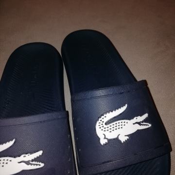 Papuce LACOSTE BR 39-40