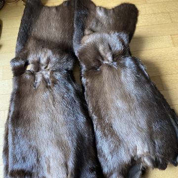 Bund koža nutrije/ nutrija