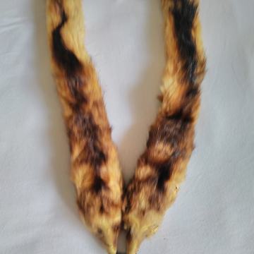 KUNA OD KRZNA - OKO VRATA