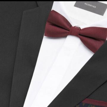 BORDO LEPTIR MAŠNA - NOVO