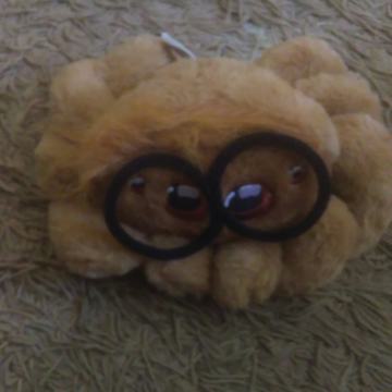 Plisana igracka,torba,jastuk,majica.