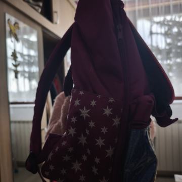 Frozen Ruksak za školu