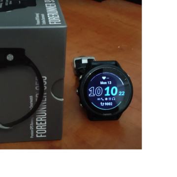 Garmin 955