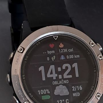 Garmin Fenix 5