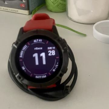 Garmin Fenix 6 x pro 51 mm