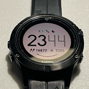Sat Garmin Fenix 5 Sapphire