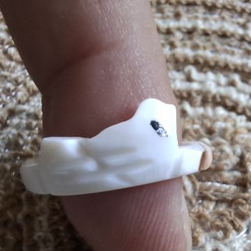 Prsten od morske školjke PTICA