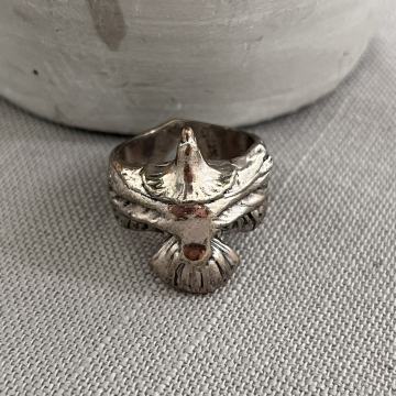 Zara prsten, ptica /TOTALNA ČISTKA