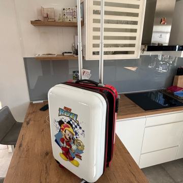 Koferi i putne torbe