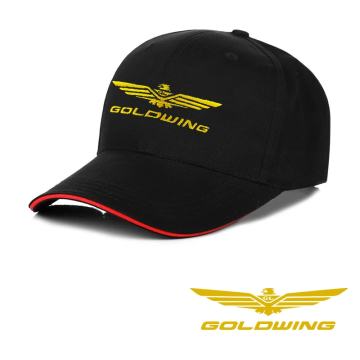 HONDA - GOLD WING GL1800/1500/1200-ŠILTERICA CRNA-ODLIČNA