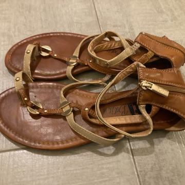 Snadale cuppino broj 38