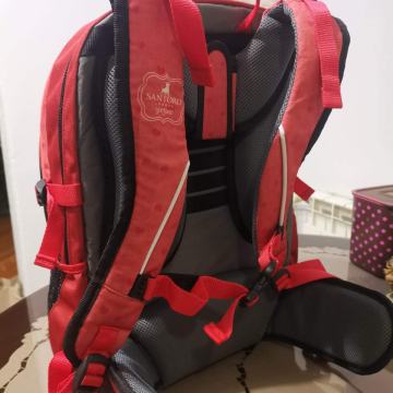 Školska torba Gorjous