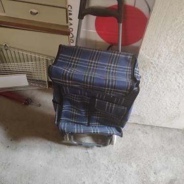 Kolica za transport s tržnice