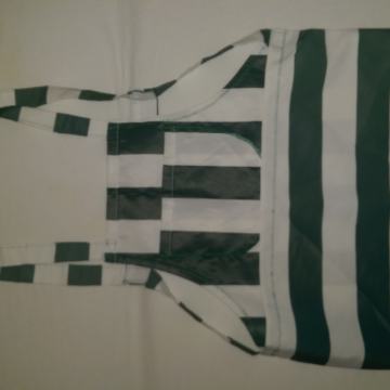 pregača za branje raznih plodova, npr. masline, mandarine...