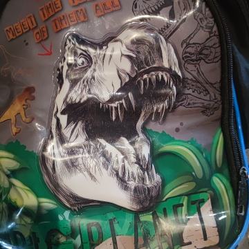 školska torba anatomska