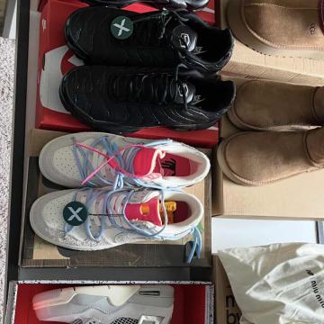 Tenisice *više vrsta*