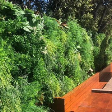 Umjetne ograde, drvca i posude - oaza zelenila za Vaš dom!