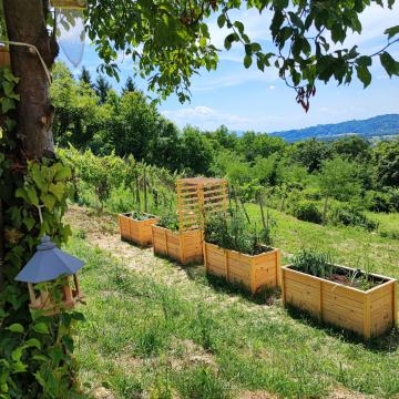 Uređenje vrtova i okućnica po mjeri | Visoke gredice | Ključ u ruke