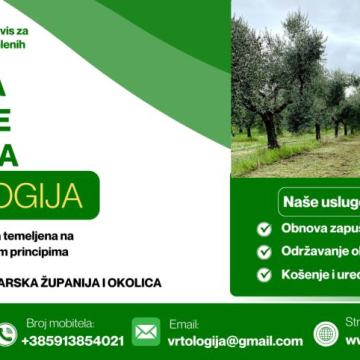 USLUGA REZIDBE MASLINA ZADARSKA ŽUPANIJA