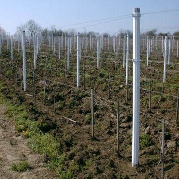 PVC stupovi za ograde, vinograde, voćnjake i vrtove - cijene na upit