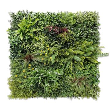 Zeleni zid - vertikalni vrt