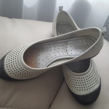 Ecco kozne cipele br 37