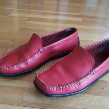 GEOX kozne cipele br 39