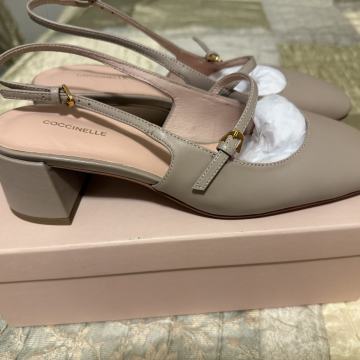 Ženske cipele Coccinelle