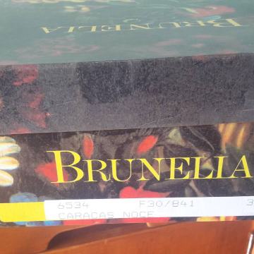 Ženske kožne čizme Brunella