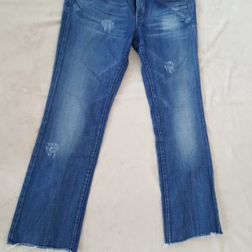 Diesel traperice W29