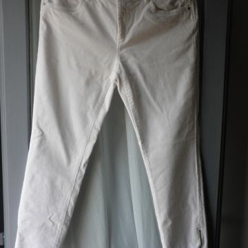 ESPRIT - ŽENSKE TOPLE SAMTANE HLAČE 42 L