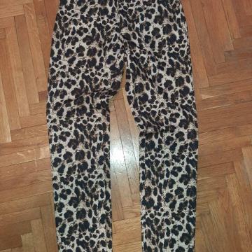 Leopard  hlače S Heidi Klum
