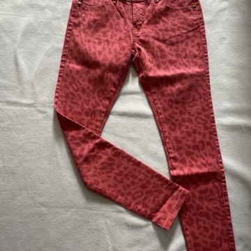 Leopard traperice vl. 38