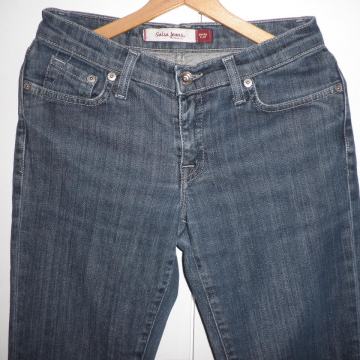 SALSA JEANS - ŽENSKE HLAČE TRAPERICE 34 XS