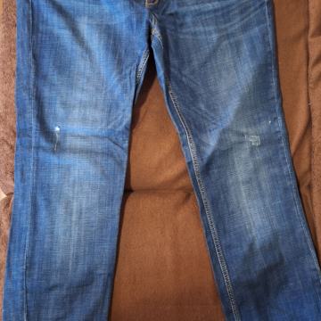 Traperice Leara Woman