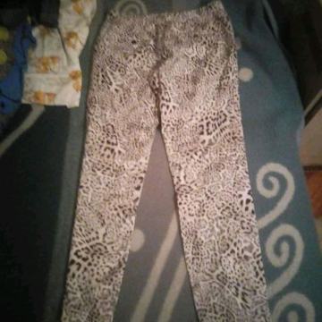 Zara hlace M tigraste