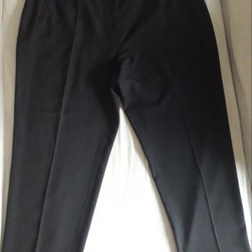 Ženske hlače vel. 54(W44)